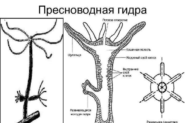 Mega вы забанены почему